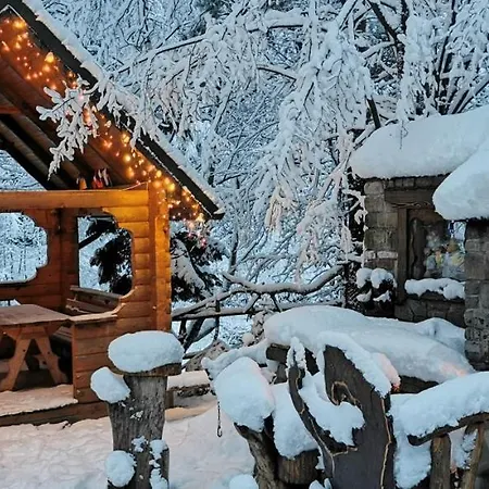 펜션 зарінок карпат *