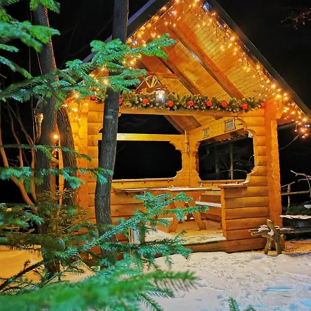 зарінок карпат *