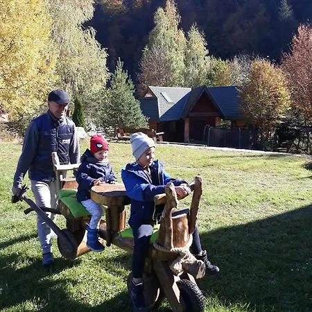 зарінок карпат *