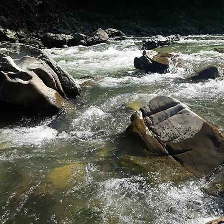 зарінок карпат * 미쿨리친