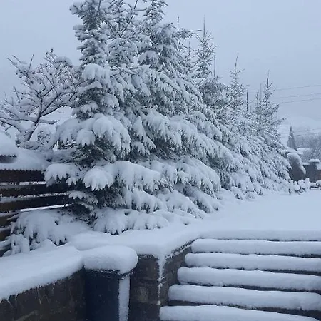 зарінок карпат 펜션 *