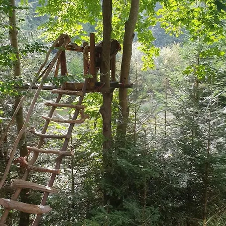 зарінок карпат * 미쿨리친