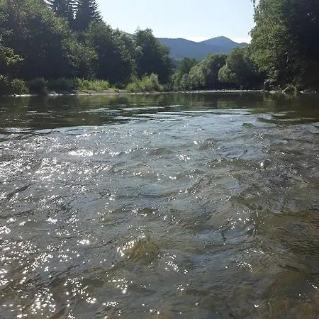 зарінок карпат 펜션