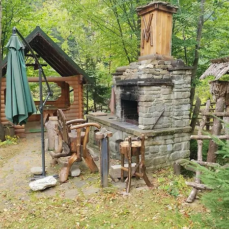 зарінок карпат 펜션