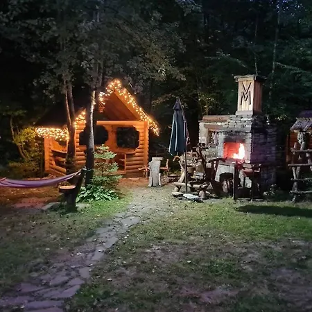 зарінок карпат *