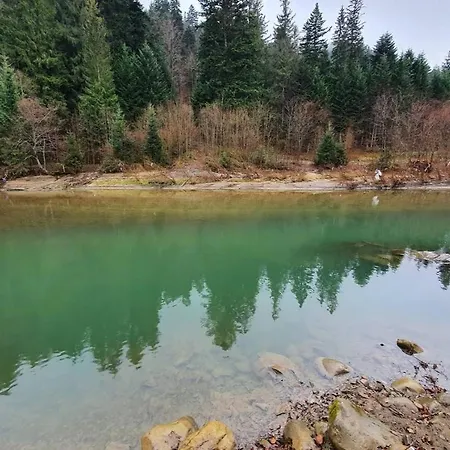 зарінок карпат *