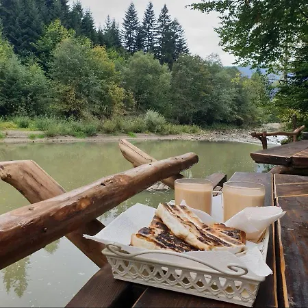 зарінок карпат * 미쿨리친