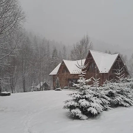 зарінок карпат 펜션 *