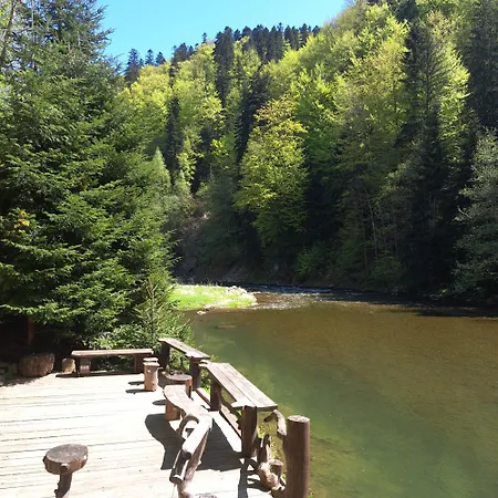 зарінок карпат 펜션