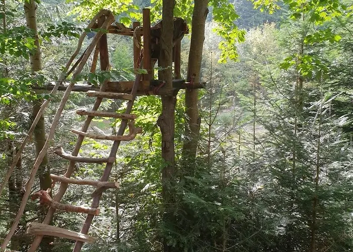 зарінок карпат * Mykulychyn