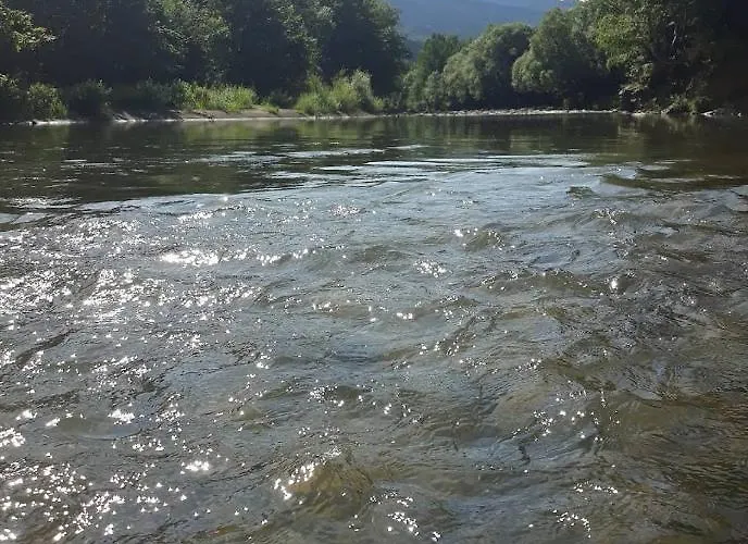 зарінок карпат 別荘