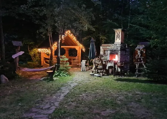 зарінок карпат *