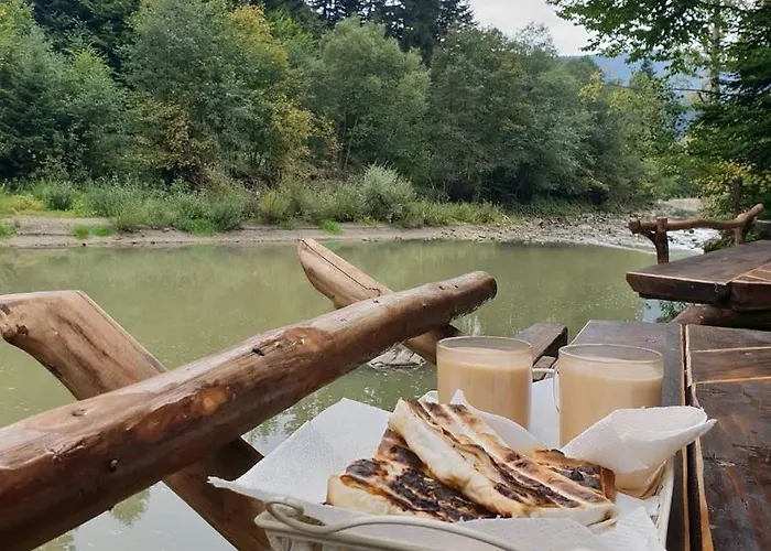 зарінок карпат * マイコリチン
